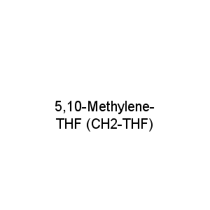 5,10-Methylene-THF (CH2-THF)